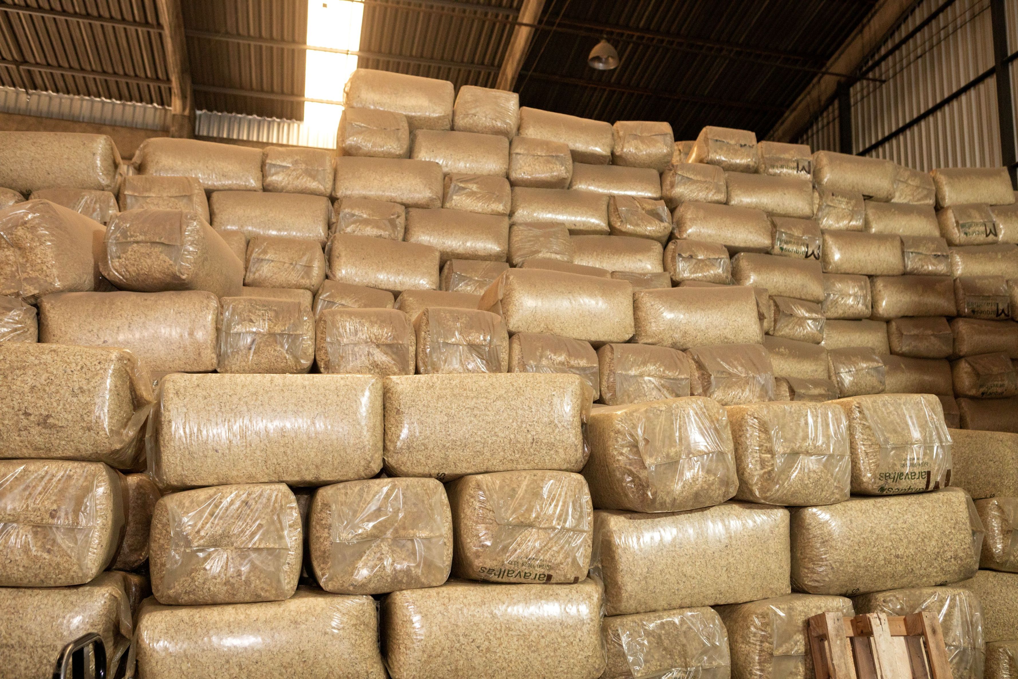 Fardos de Maravalha Marques Maravalhas.jpg