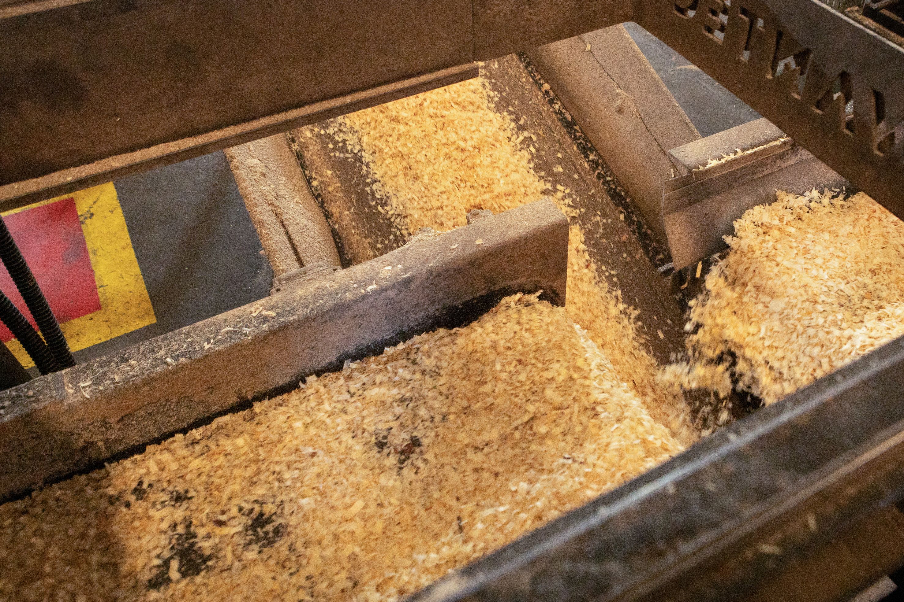 Produzindo a Melhor Maravalha Marques Maravalha.jpg