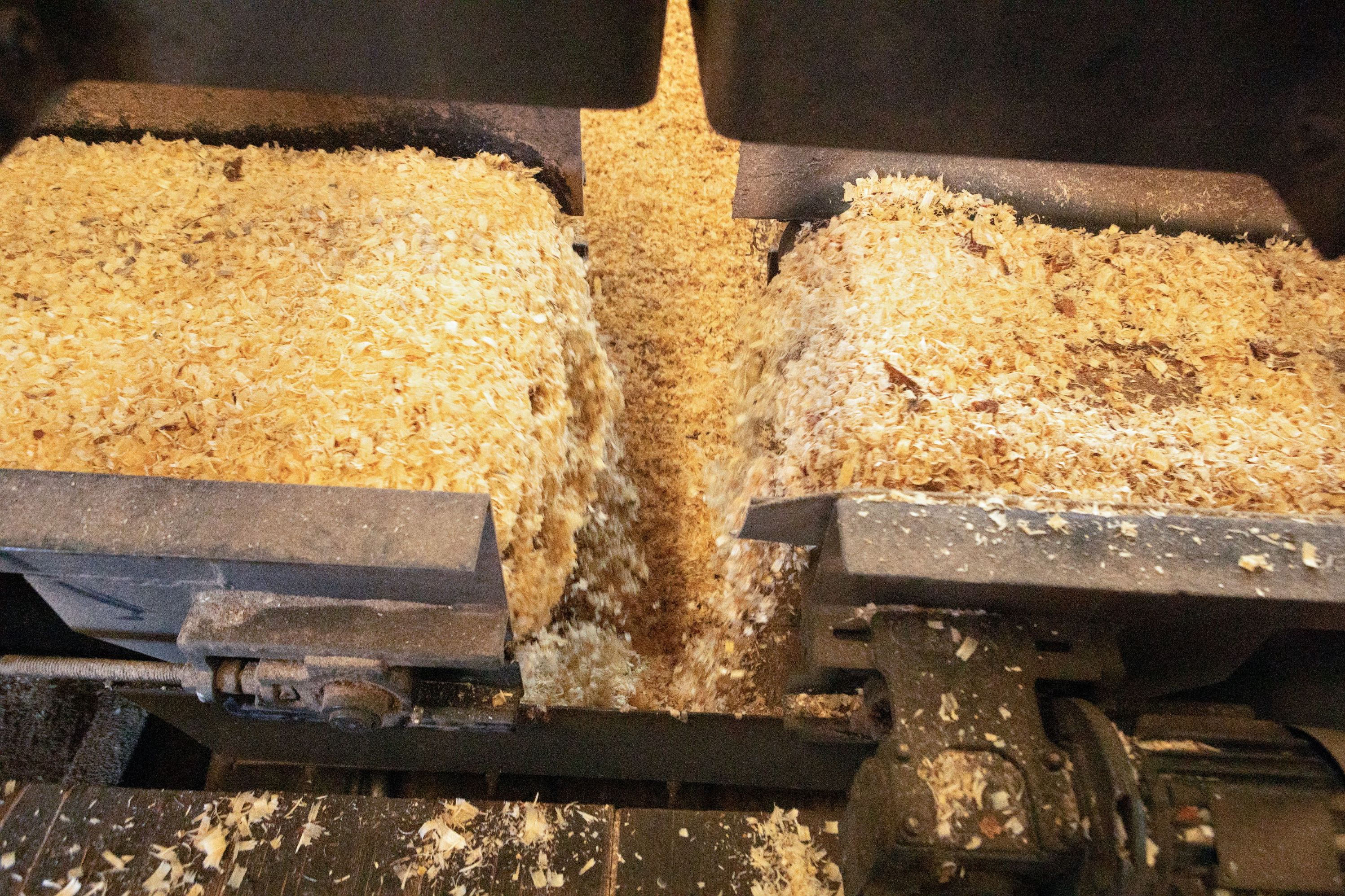 Produção de Maravalha Marques Maravalhas.jpg