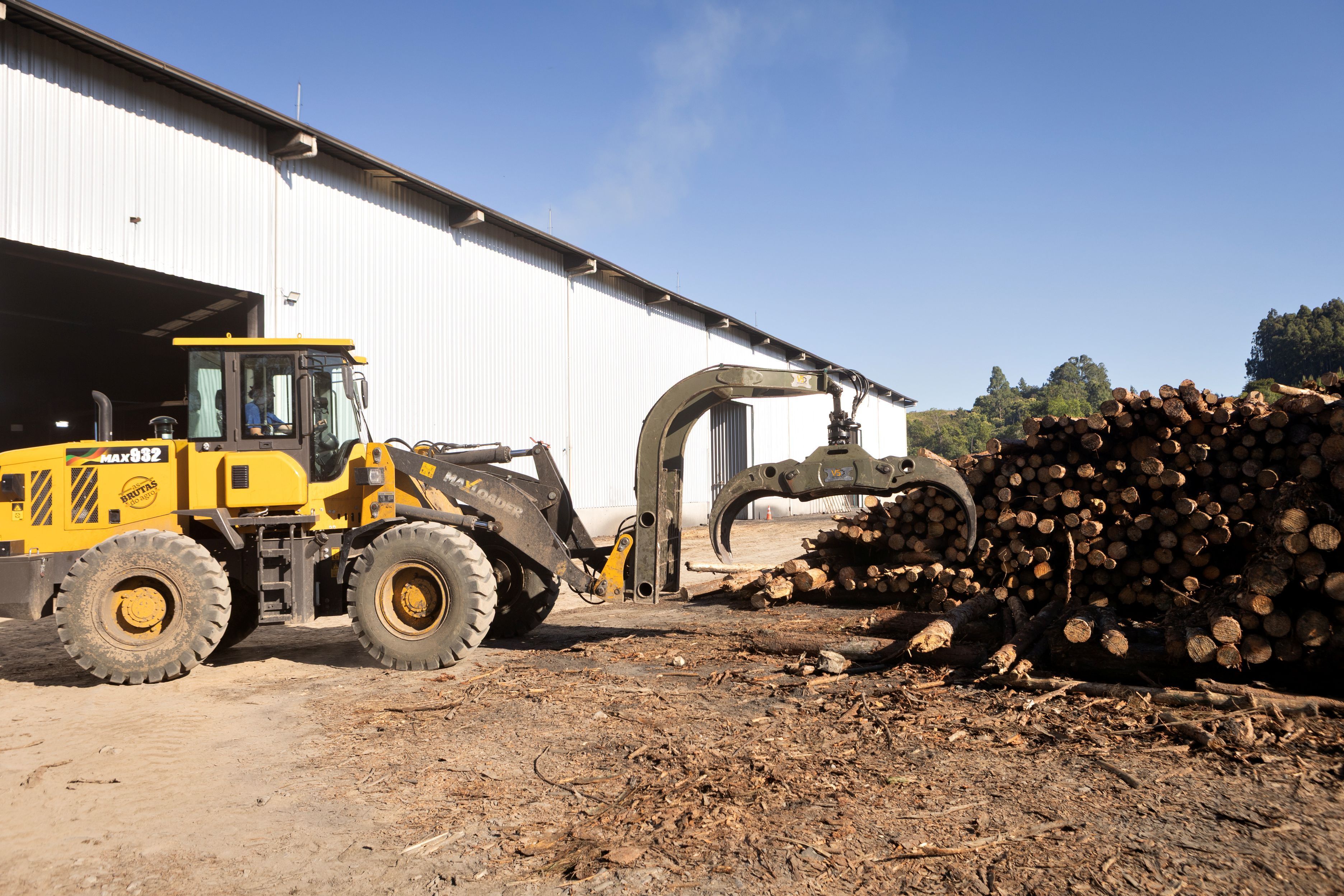 Marques Maravalhas 1.jpg